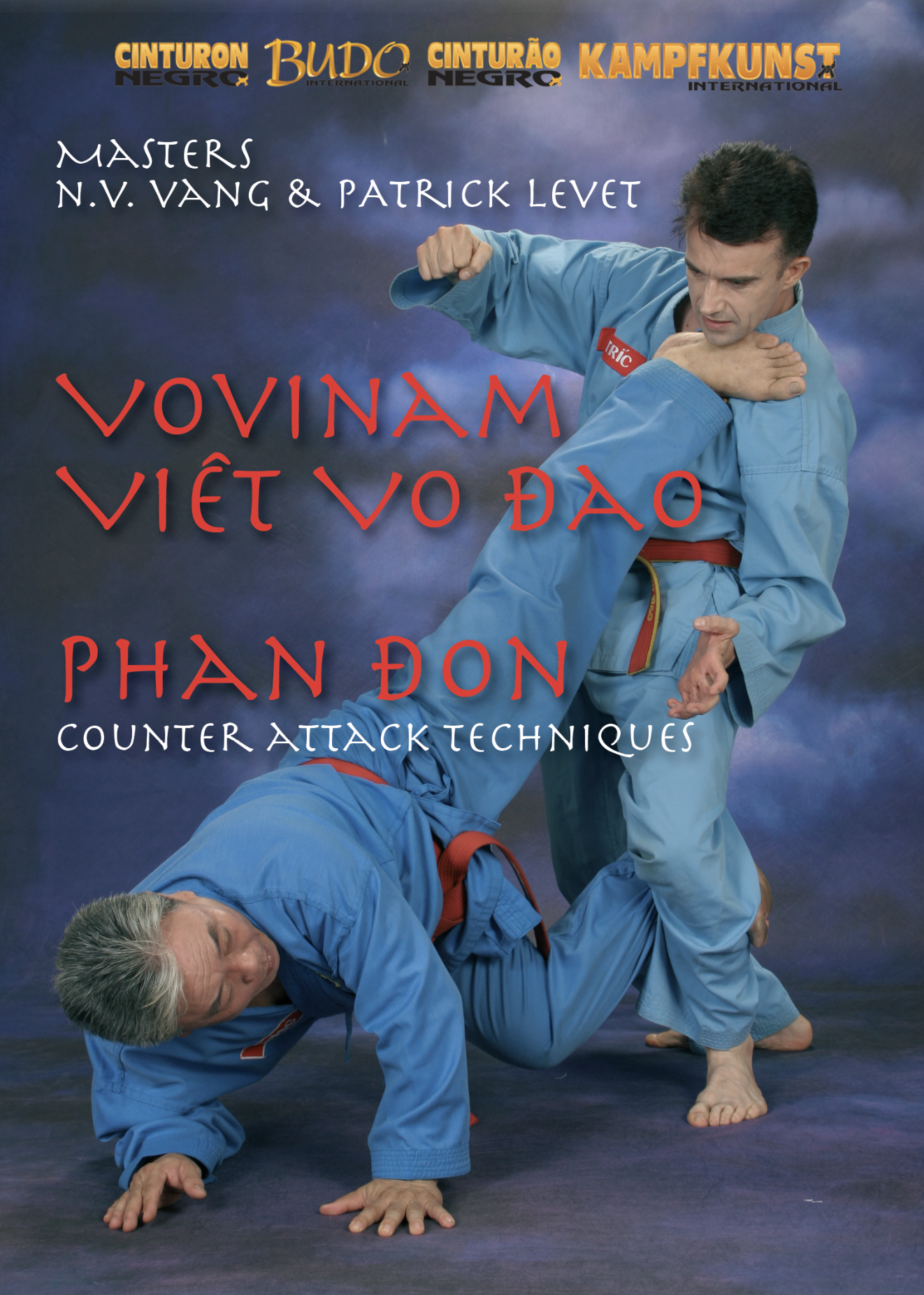 Viet Vo Dao Phan Don Counter Techniques DVD with Patrick Levet