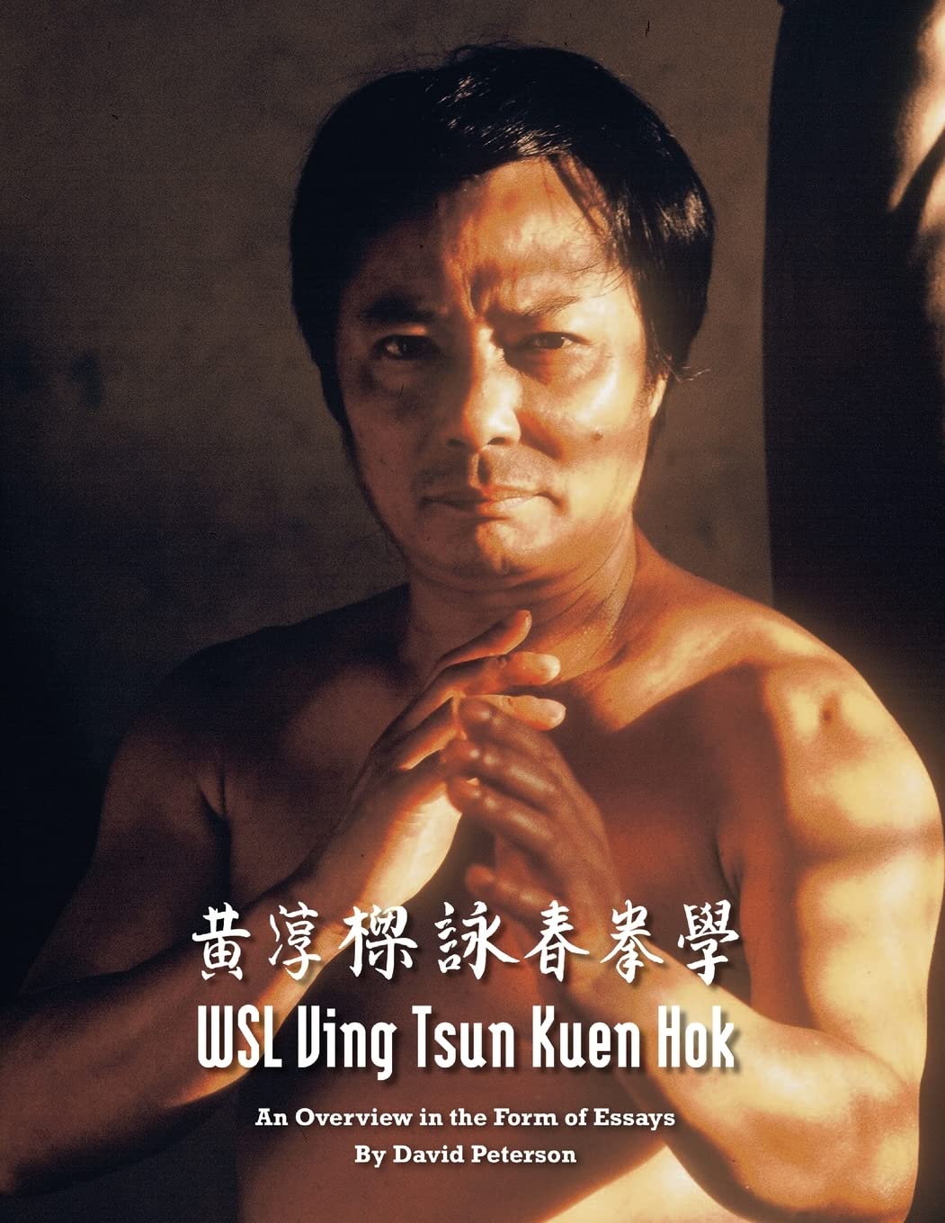 WSL Ving Tsun Kuen Hok: An Overview in the Form of Essays Book by David Peterson