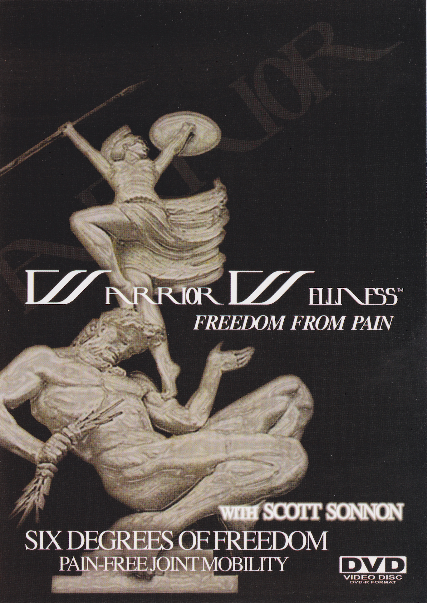 Warrior Wellness: Freedom From Pain DVD by Scott Sonnon (Preowned)