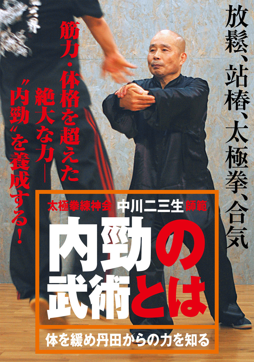 What is Internal Power Martial Arts? DVD 1 by Fumio Nakagawa