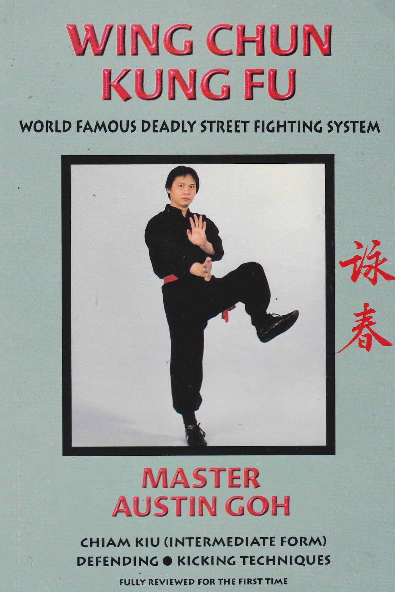 Wing Chun Kung Fu Chiam Kiu (Intermediate Form) Book by Austin Goh