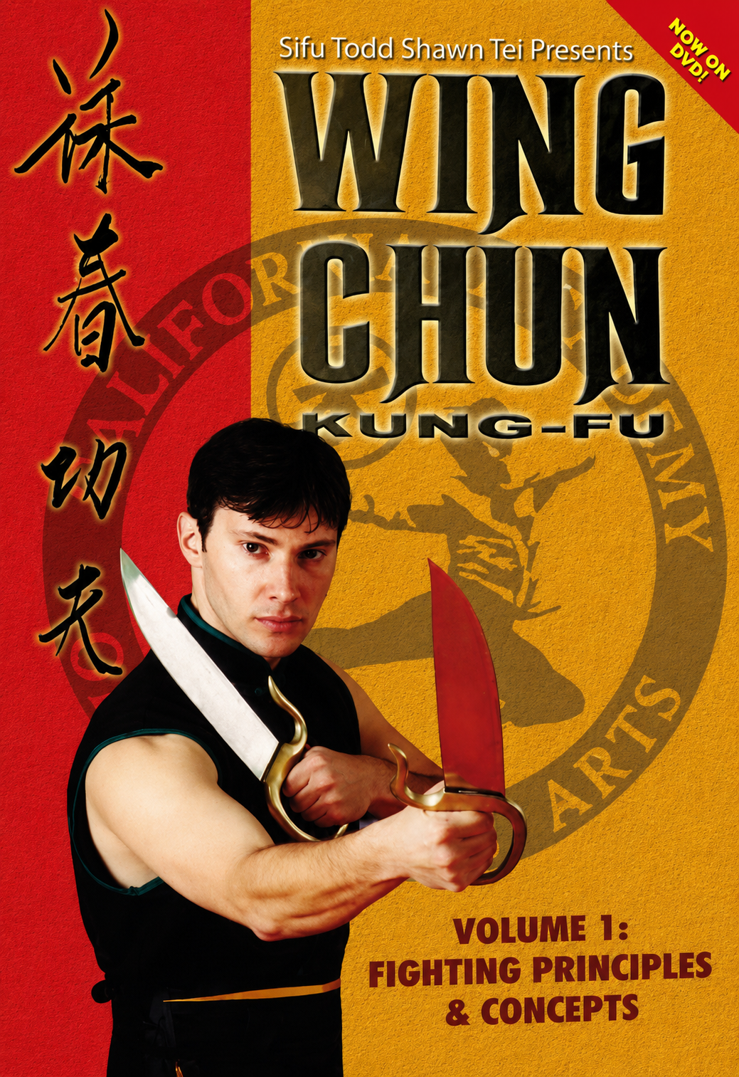 Wing Chun Kung Fu Fighting DVD 1 Principles & Concepts by Todd Shawn Tei