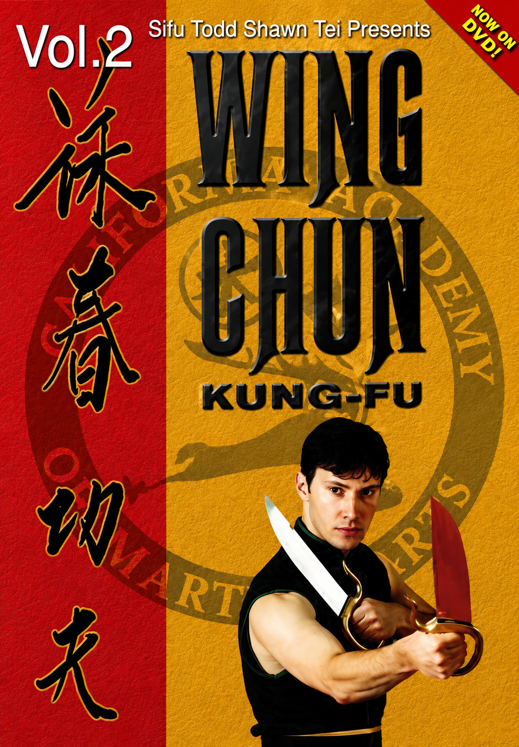 Wing Chun Kung Fu Fighting DVD 2 Strategies & Tactics by Todd Shawn Tei