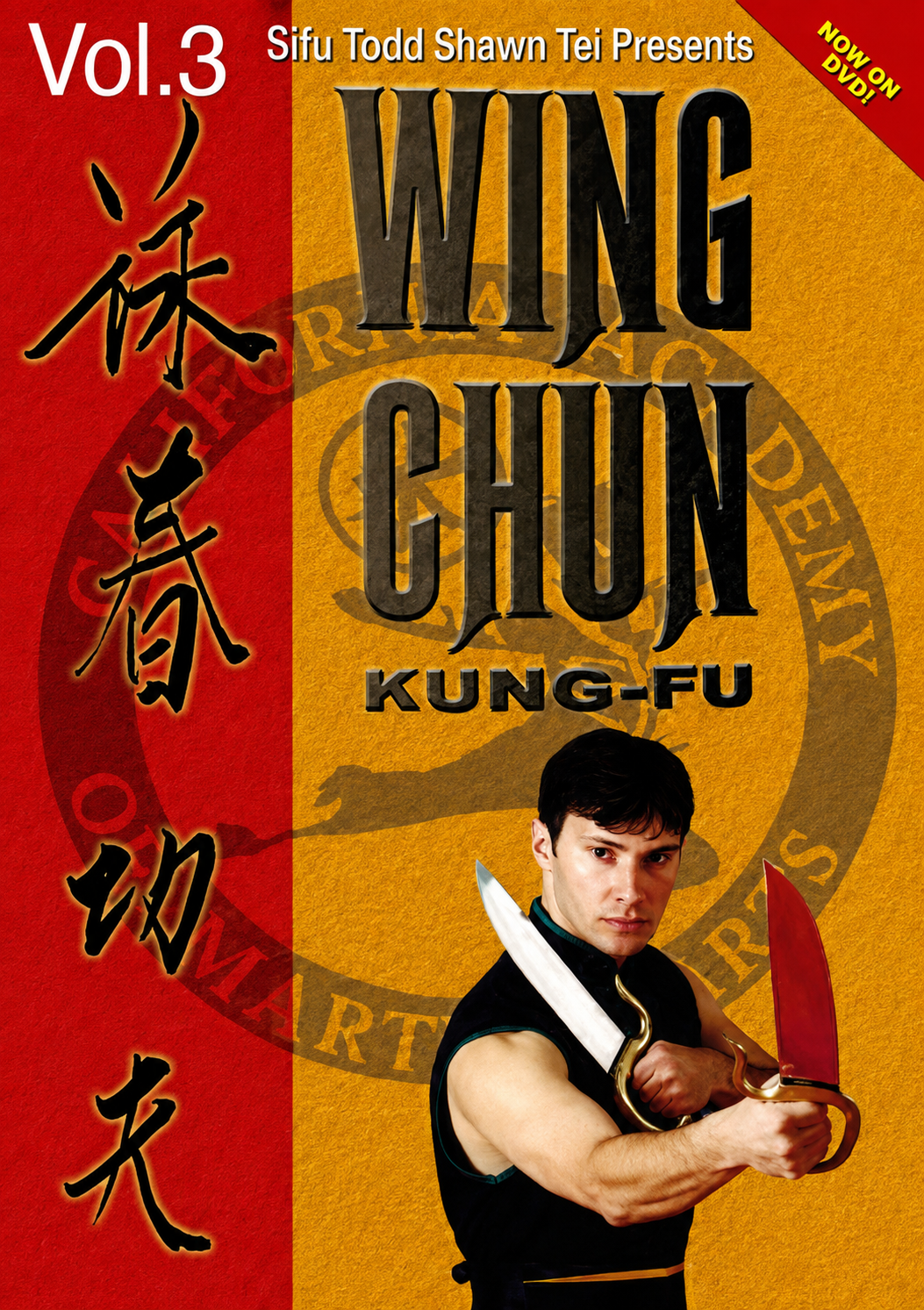 Wing Chun Kung Fu Fighting DVD 3 Advanced Principles and Concepts by Todd Shawn Tei