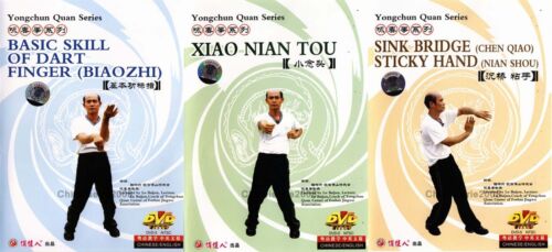 Wing Chun Kung fu Yong Chun 3 DVD Set by Lu Baijun