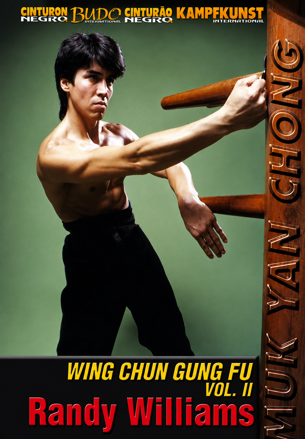 Wing Chun Wooden Dummy Form Part 2 DVD by Randy Williams