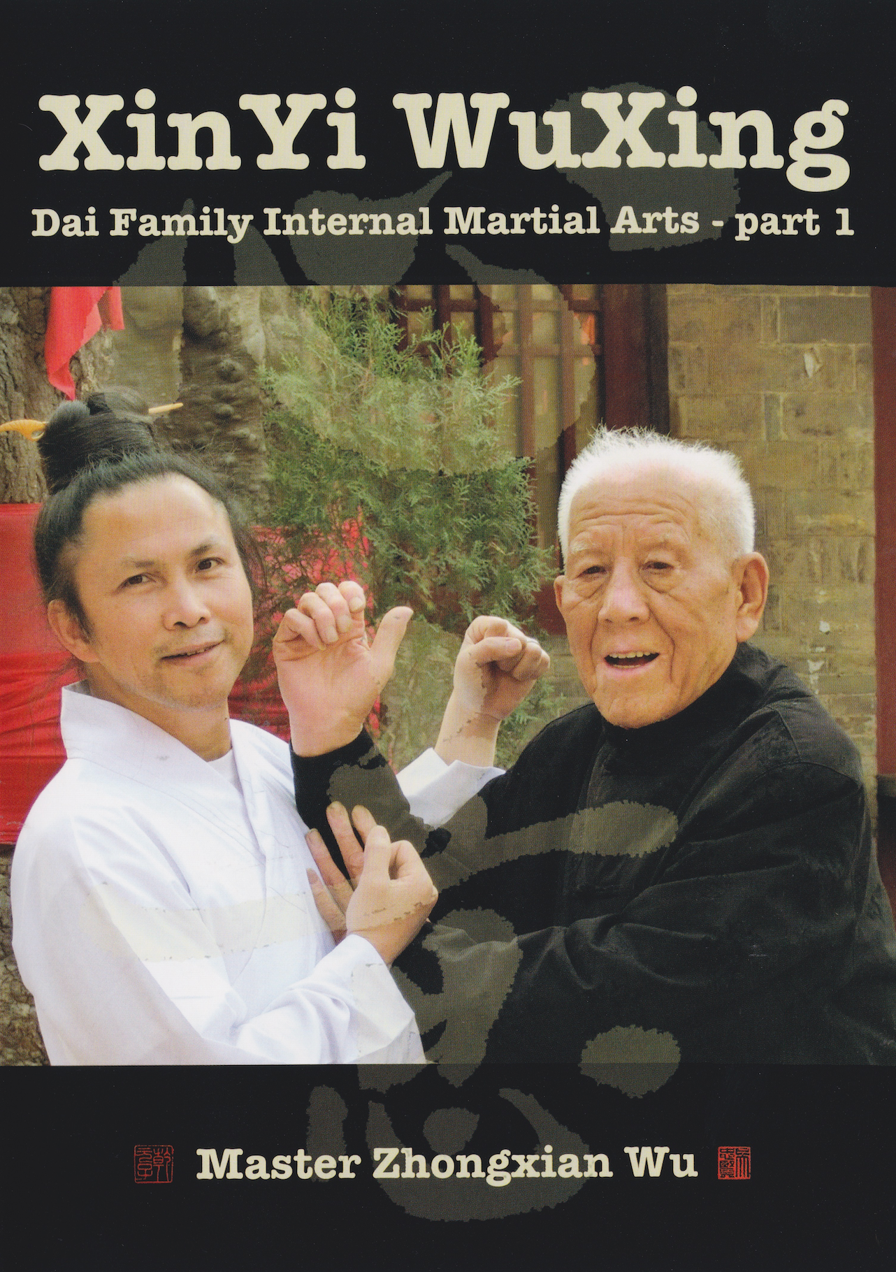 XinYi WuXing DVD by Zhongxian Wu