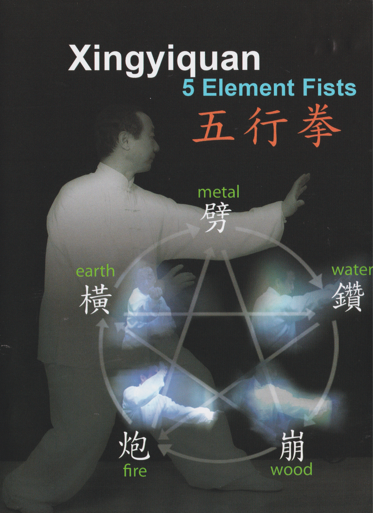 Xingyiquan 5 Element Fists DVD by Xiaoling Liu (Preowned)