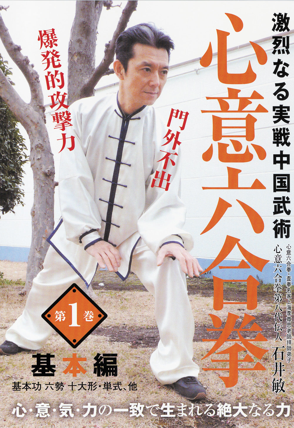 Xinyi Liuhe Quan Basic DVD by Bin Ishii