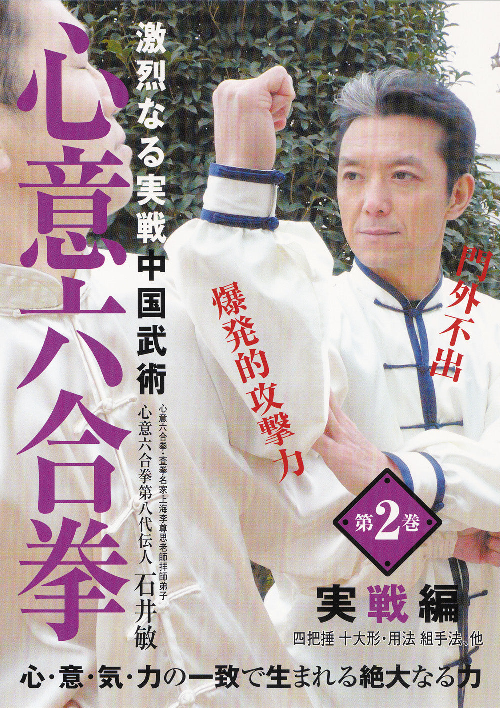 Xinyi Liuhe Quan Real Fighting DVD by Bin Ishii