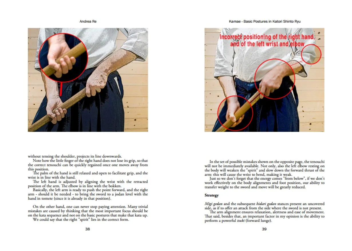 Kamae: Basic Postures in Katori Shinto Ryu Book by Andrea Re