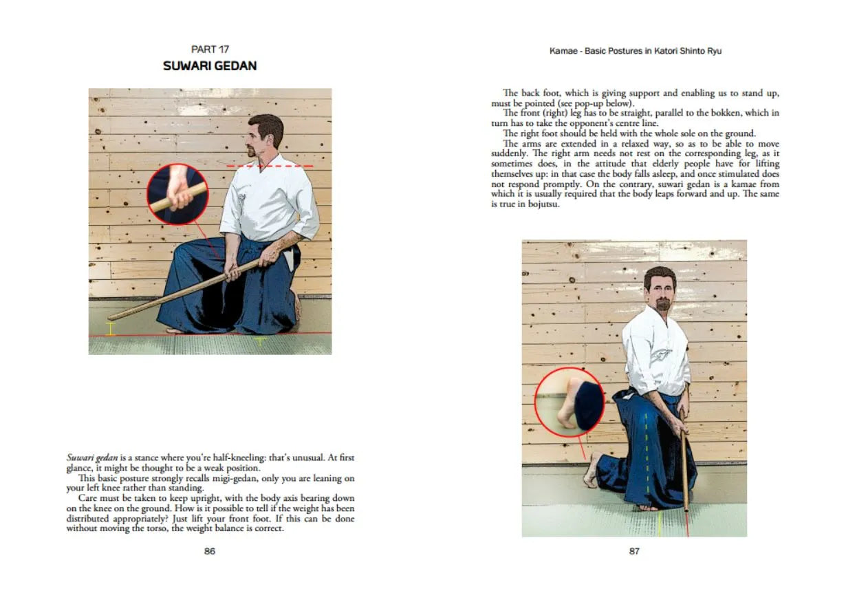 Kamae: Basic Postures in Katori Shinto Ryu Book by Andrea Re