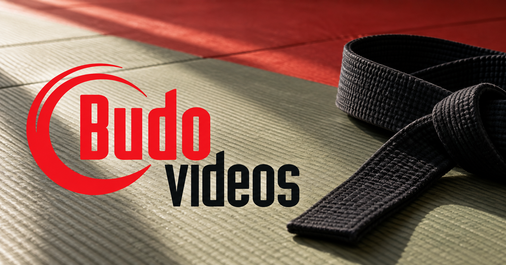 Pavel Tsatsouline Books & DVDs – Budovideos Inc