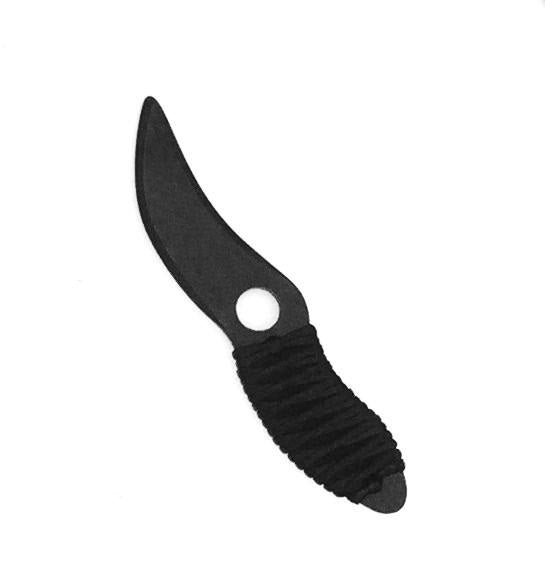 Ninja Training Raptor Tanto