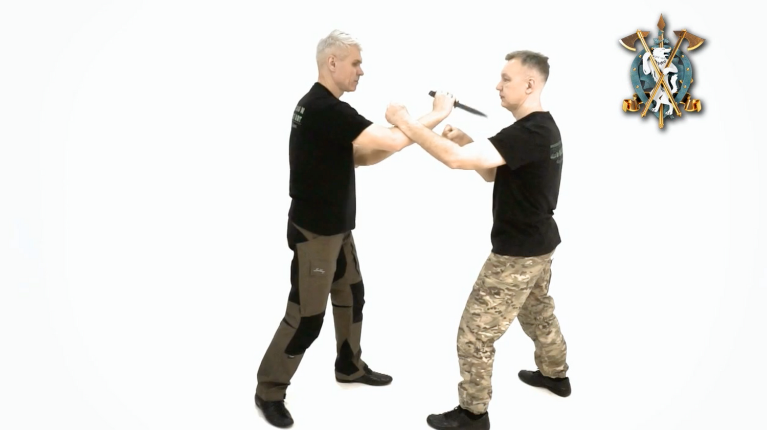 RMA Systema SV Knife Fighting 2 Dmitry Skogorev (On Demand)