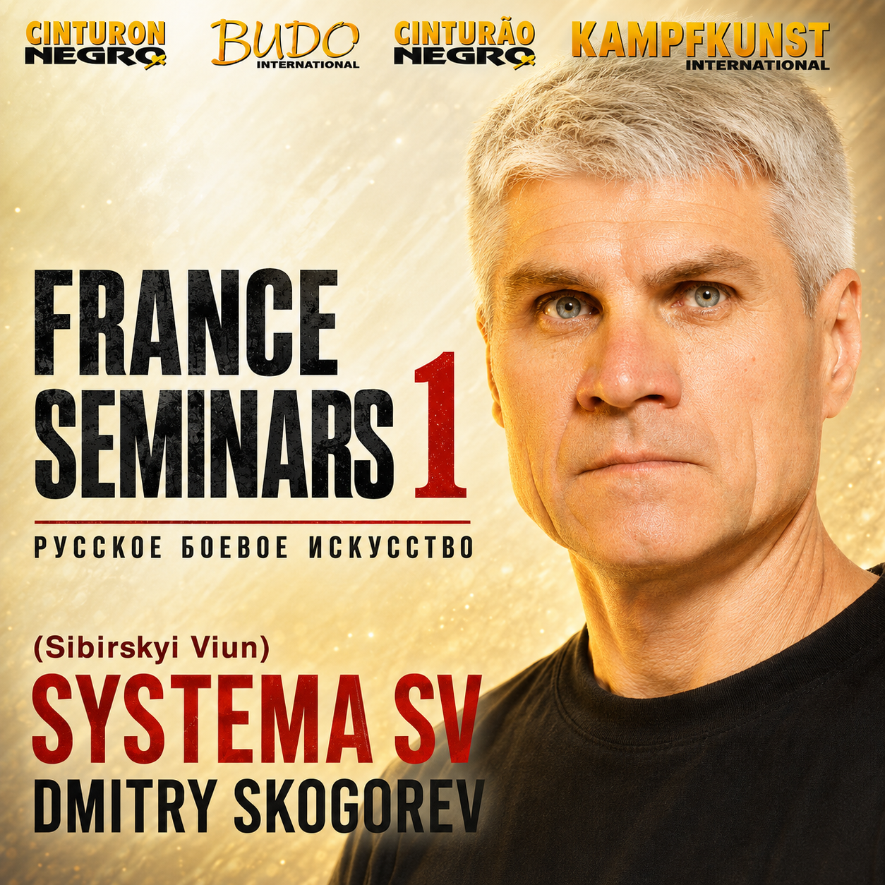 Seminario RMA Systema SV Francia 2017 Vol 1 con Dmitry Skogorev (bajo demanda)