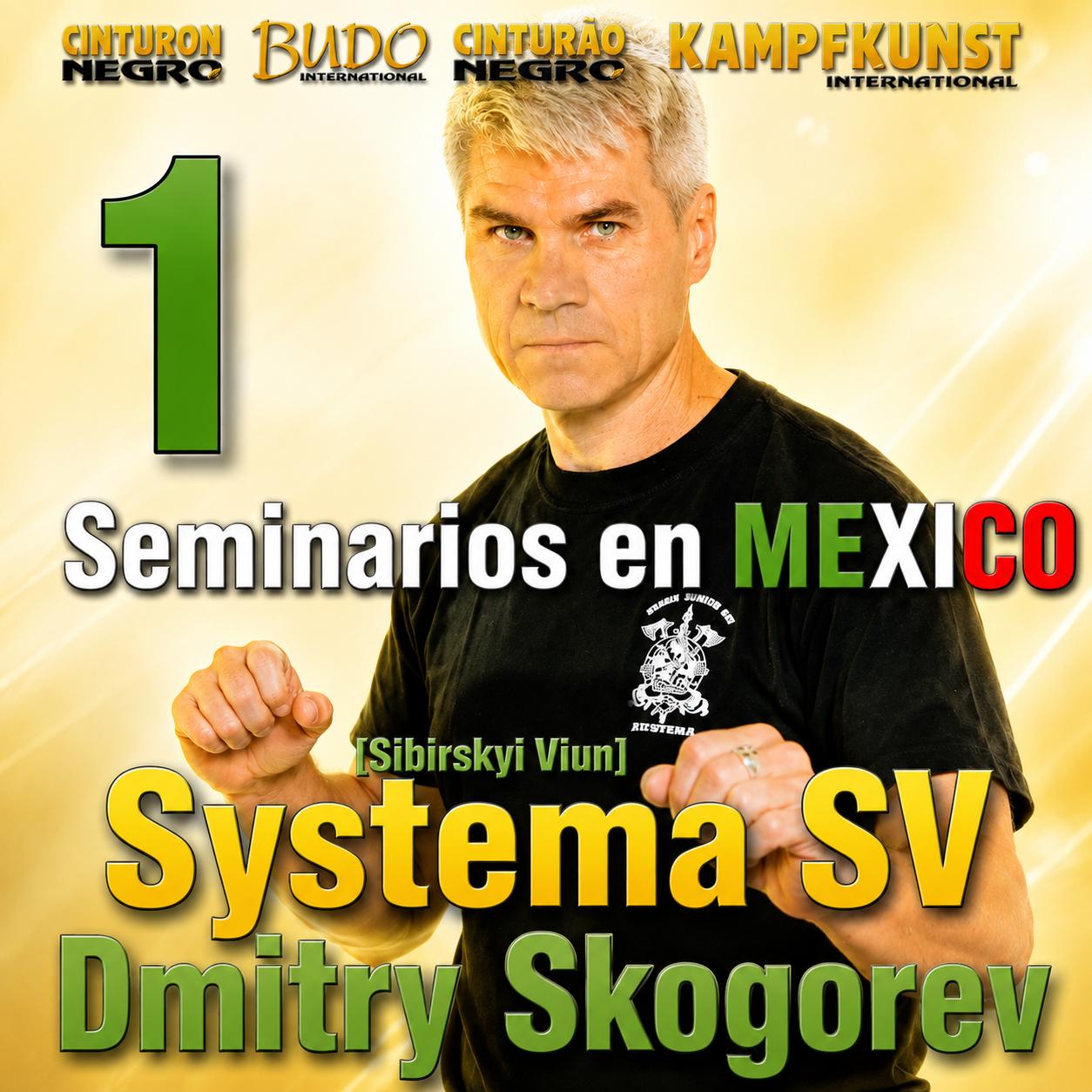 RMA Systema SV 2017 Mexico Seminar Vol 1 (On Demand)