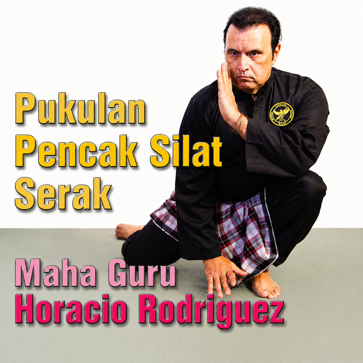 Pukulan Pencak Silat Serak Empty Hands (On Demand)
