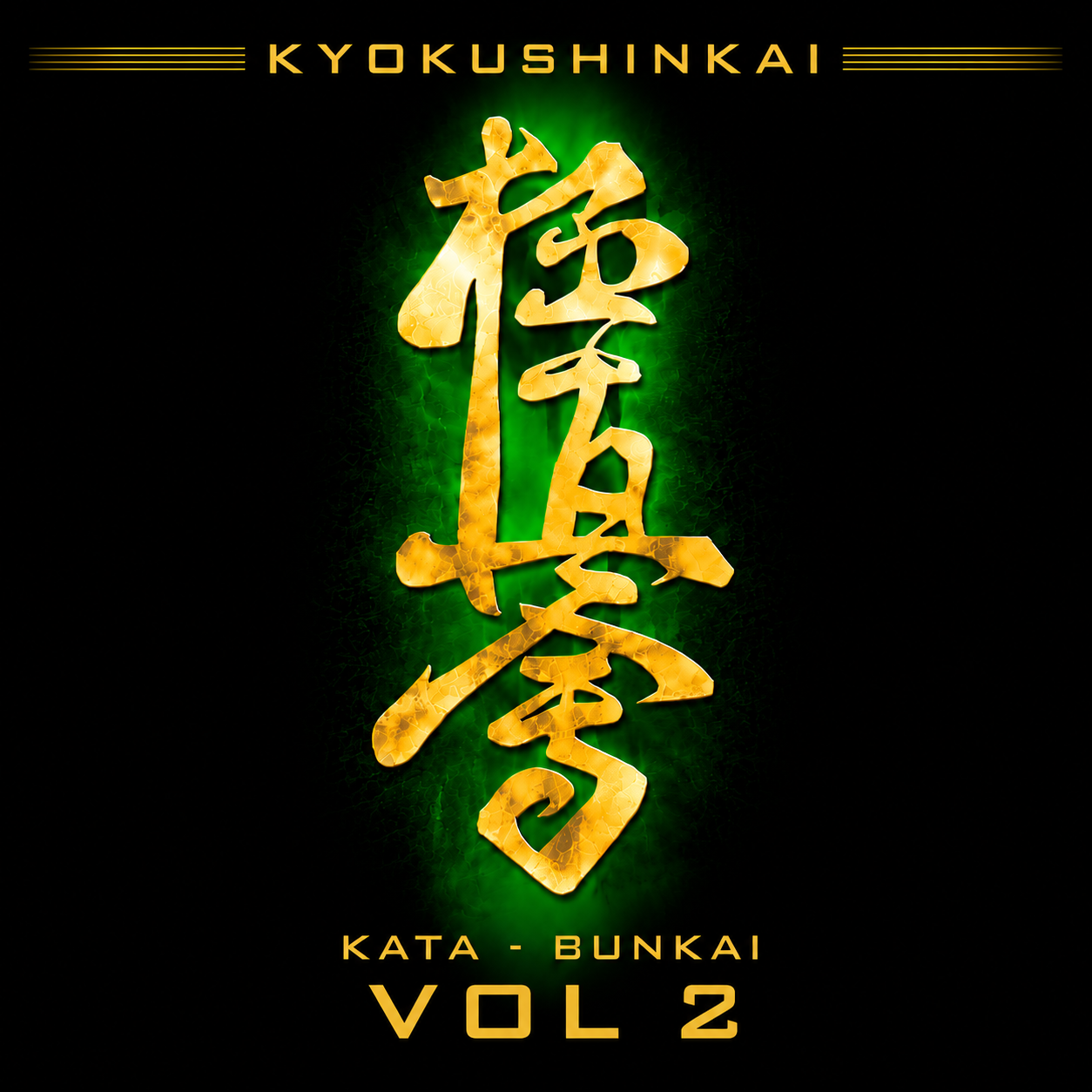 Kyokushinkai Karate Kata & Bunkai Vol 2 (On Demand)