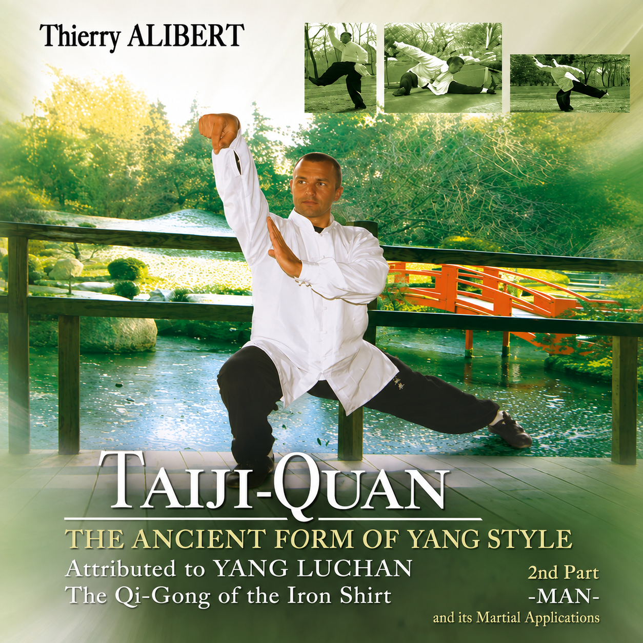 Yang Style Taiji-Quan Vol 2 by Thierry Alibert (On Demand)