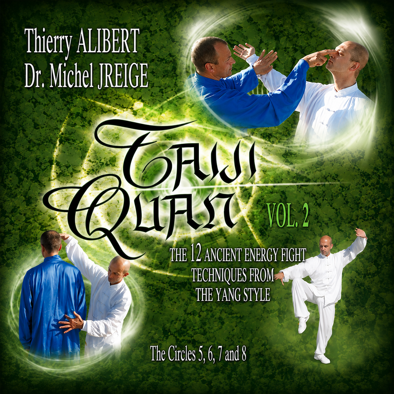 Yang Style Tai Chi 12 Fight Techniques Vol 2 (On Demand)