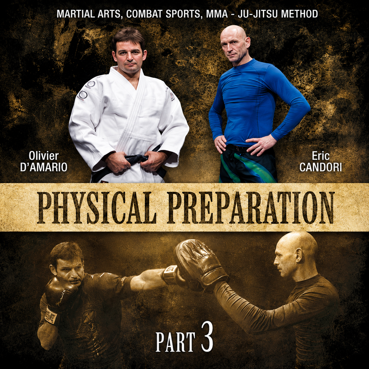 Physical Preparation for Martial Arts Vol 3 (On Demand)