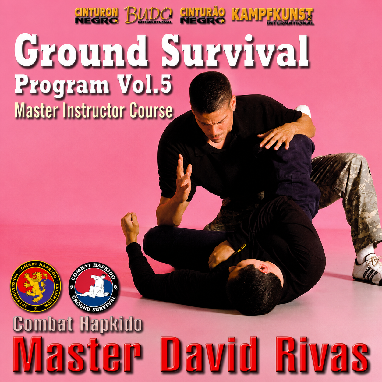Combat Hapkido Ground Survival Prog V5 David Rivas (On Demand)