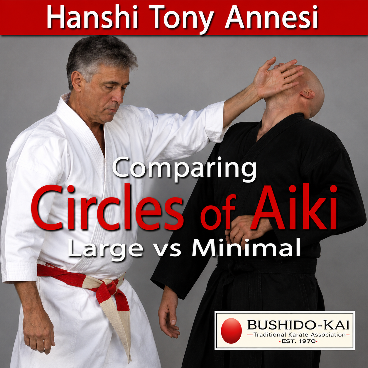 Comparing Circles of Aiki with Tony Annesi (On Demand)