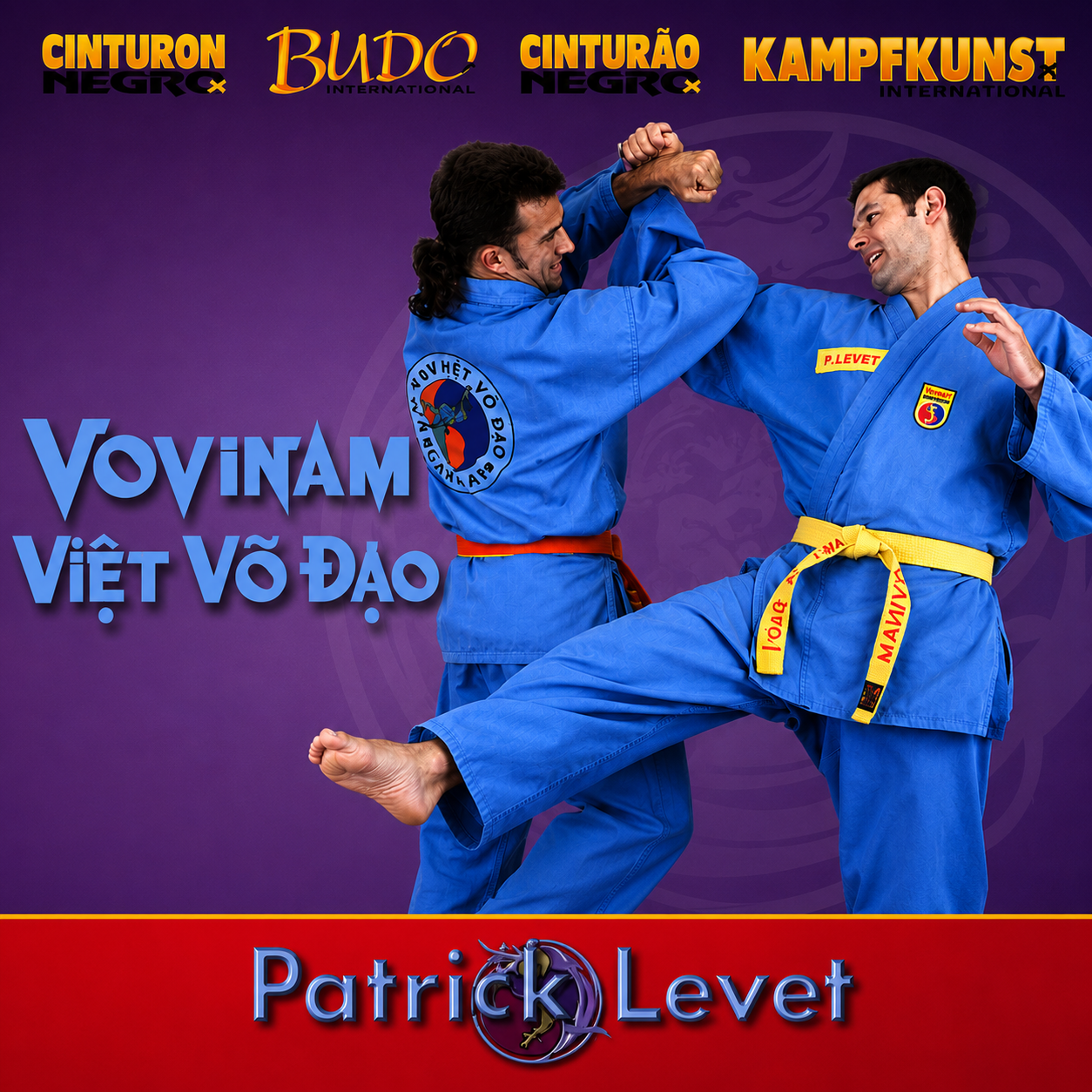 Vovinam Viet Vo Dao Vol 1 with Patrick Levet (On Demand)