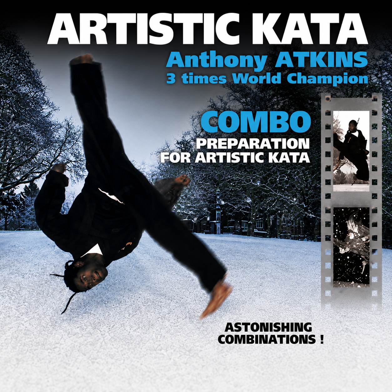 Artistic Karate Kata Combo Preparation (On Demand)