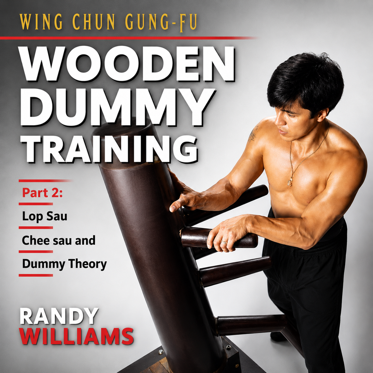 Wing Chun 108 Wooden Dummy 2 by Randy Williams (On Demand)