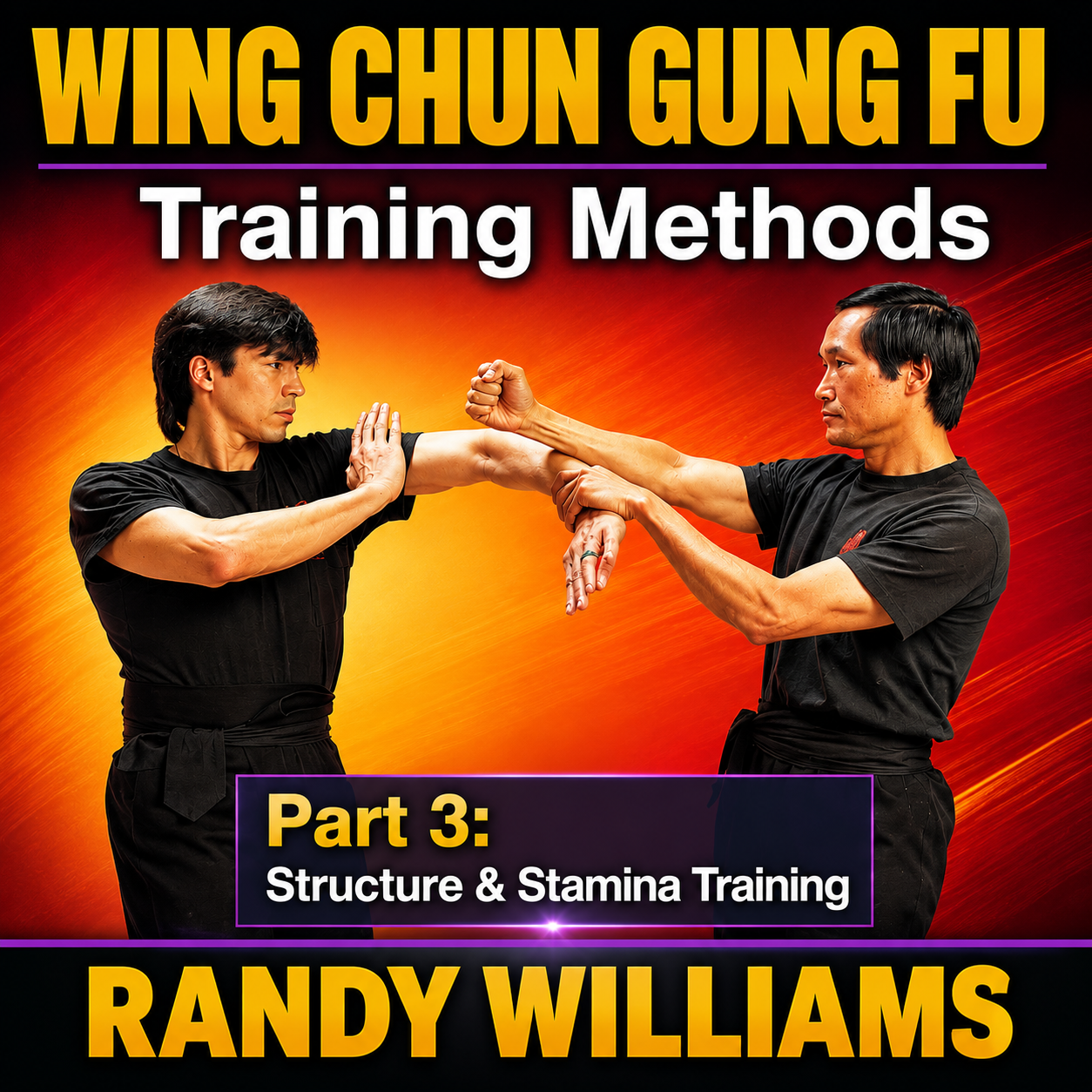 Wing Chun Training Methods 3 by Randy Williams (On Demand)
