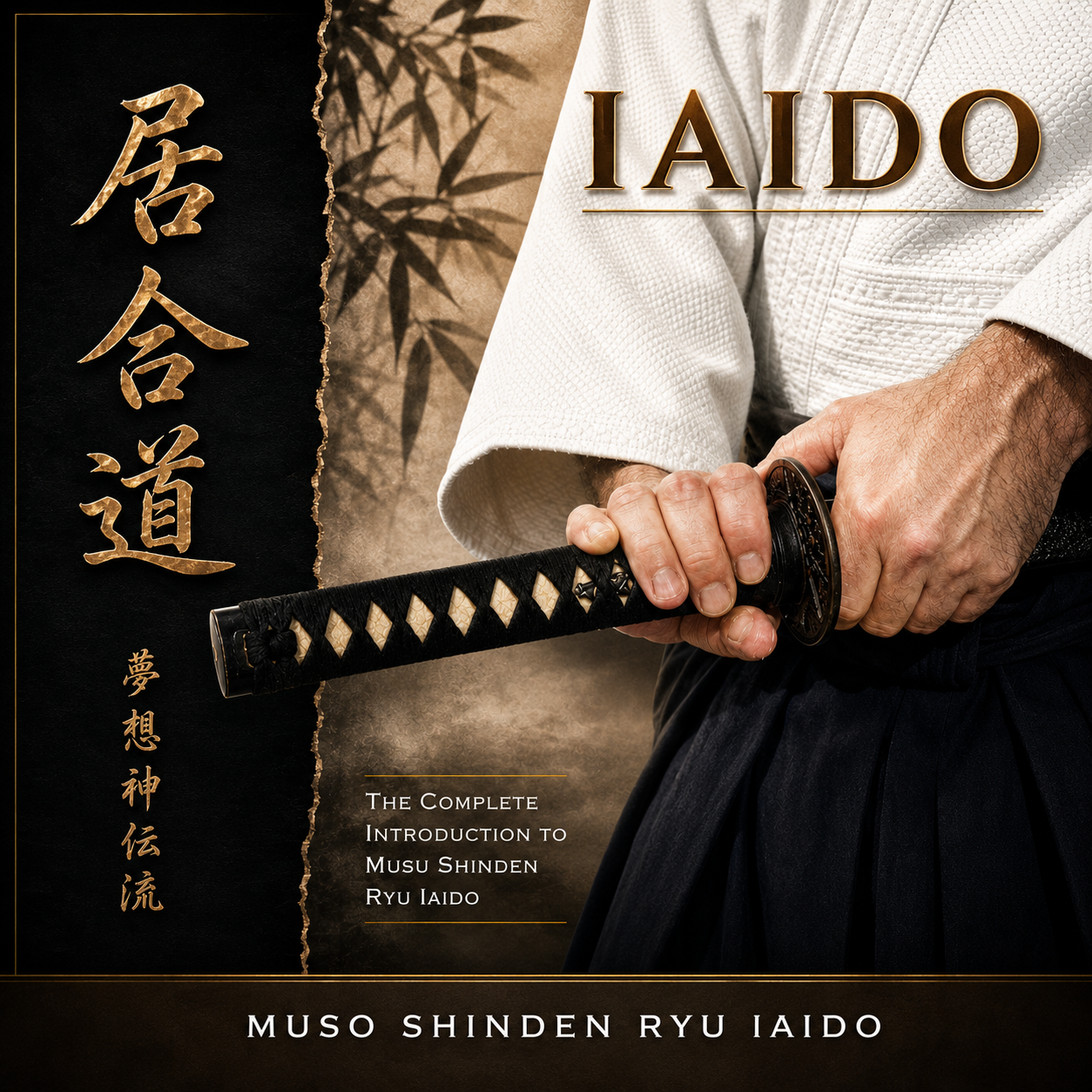 Complete Introduction to Muso Shinden Ryu Iaido with Didier Boyet (On Demand)