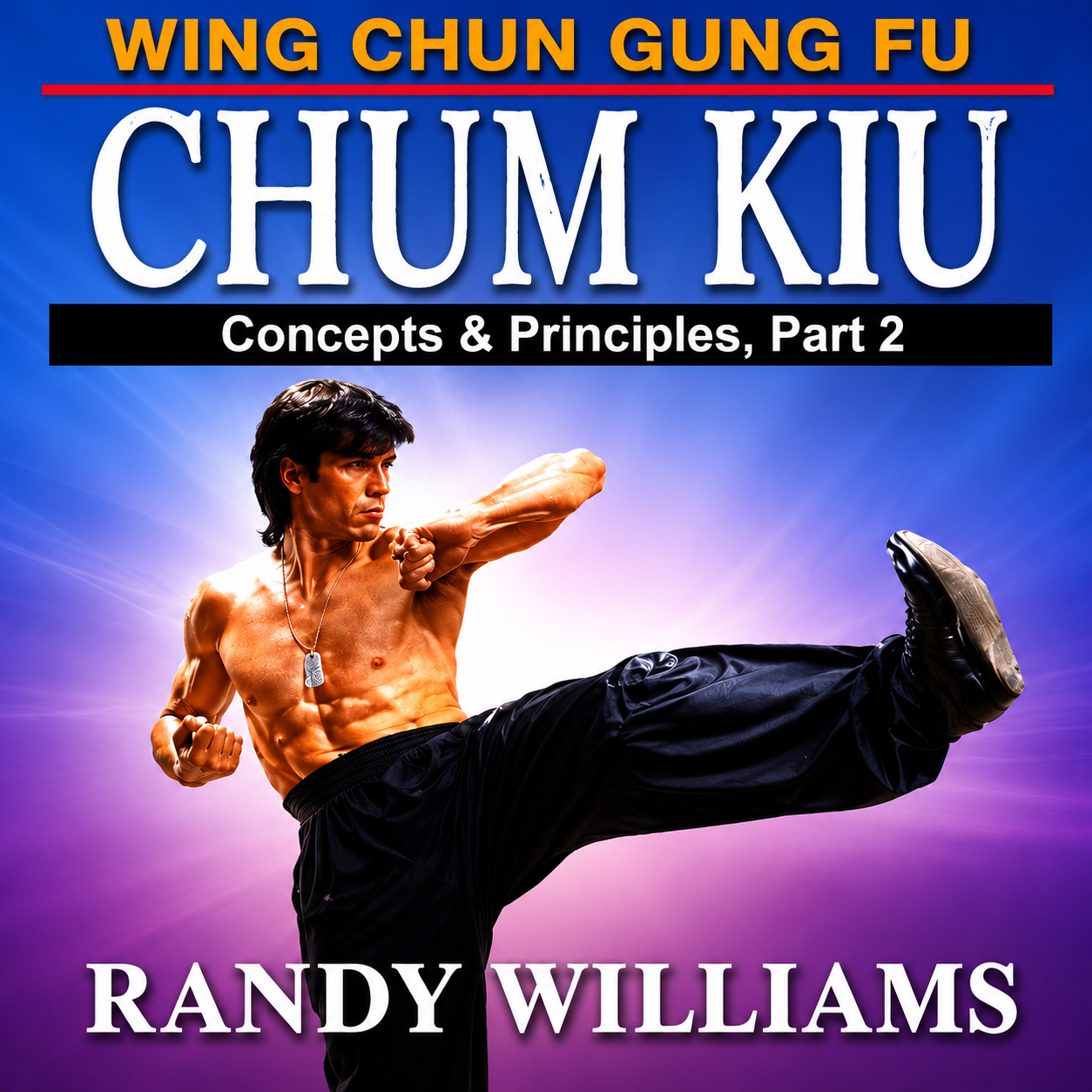 Wing Chun Chum Kiu 2 by Randy Williams (On Demand)