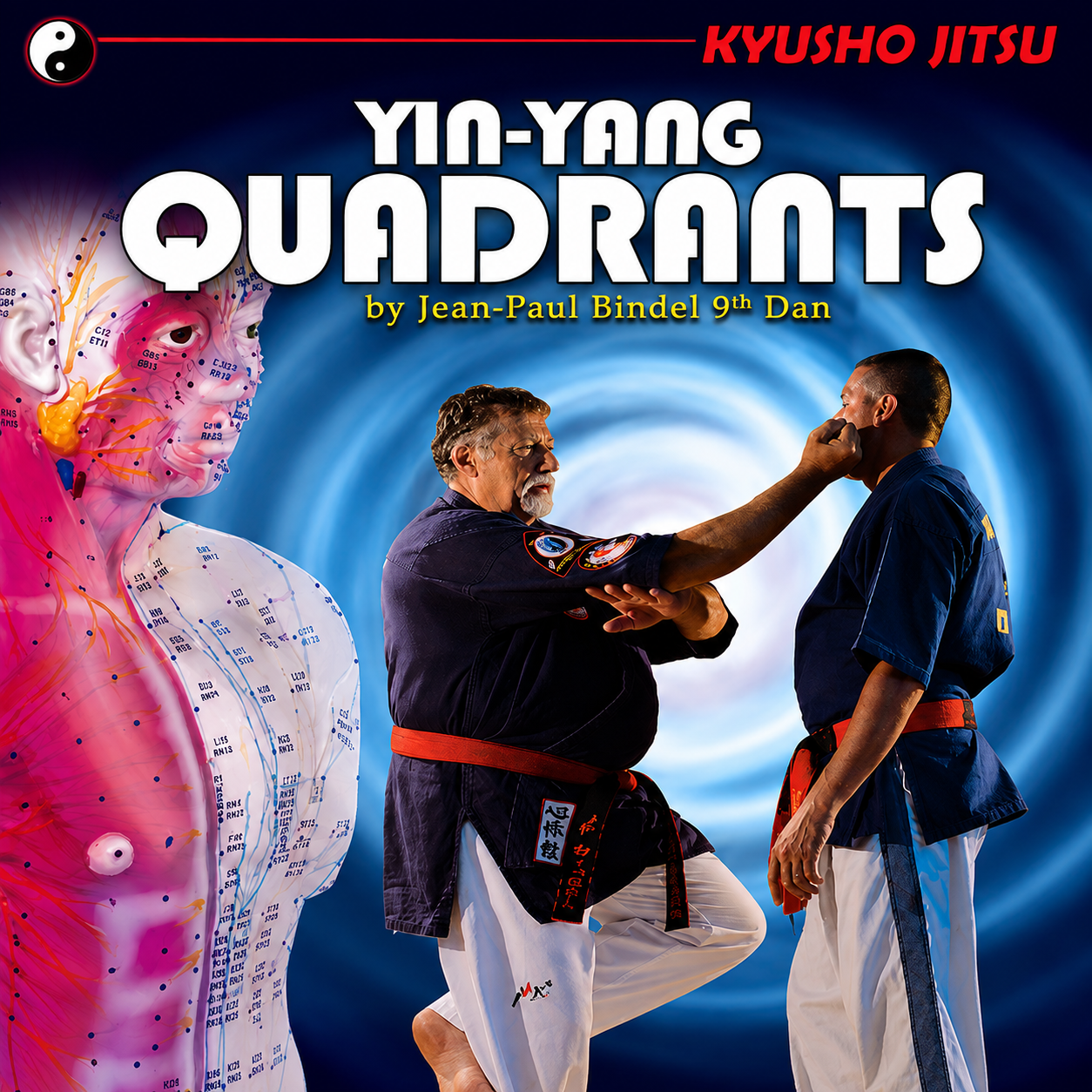 Kyusho-Jitsu Yin-Yang Quadrants (On Demand)
