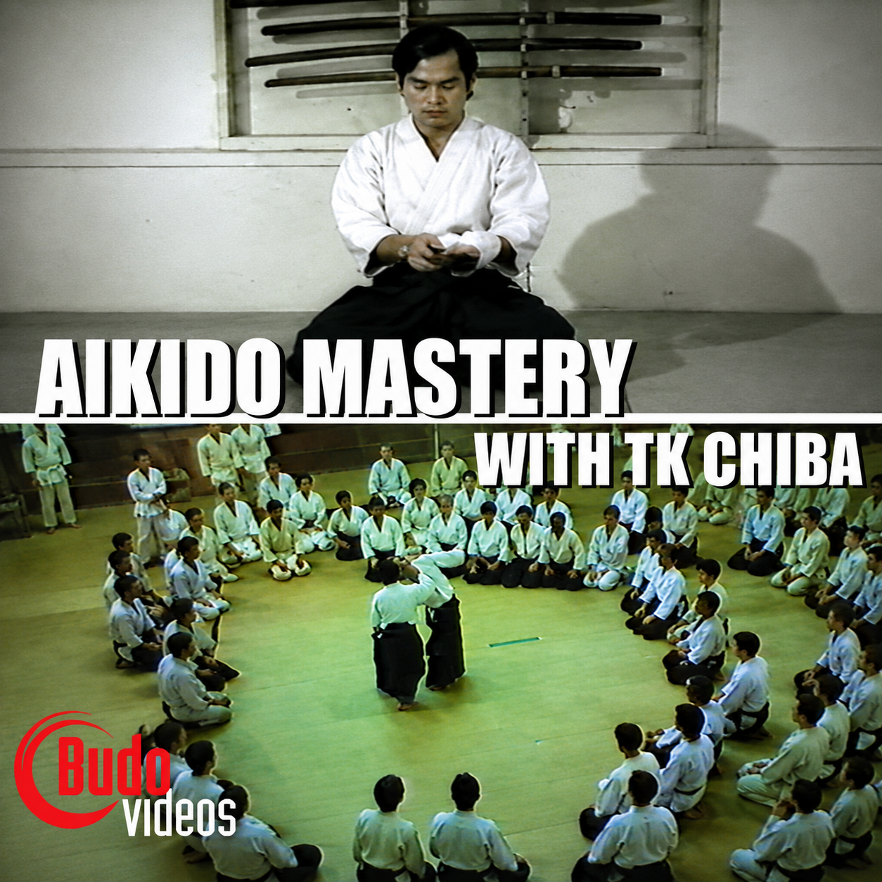 Aikido Mastery with TK Chiba (On Demand)