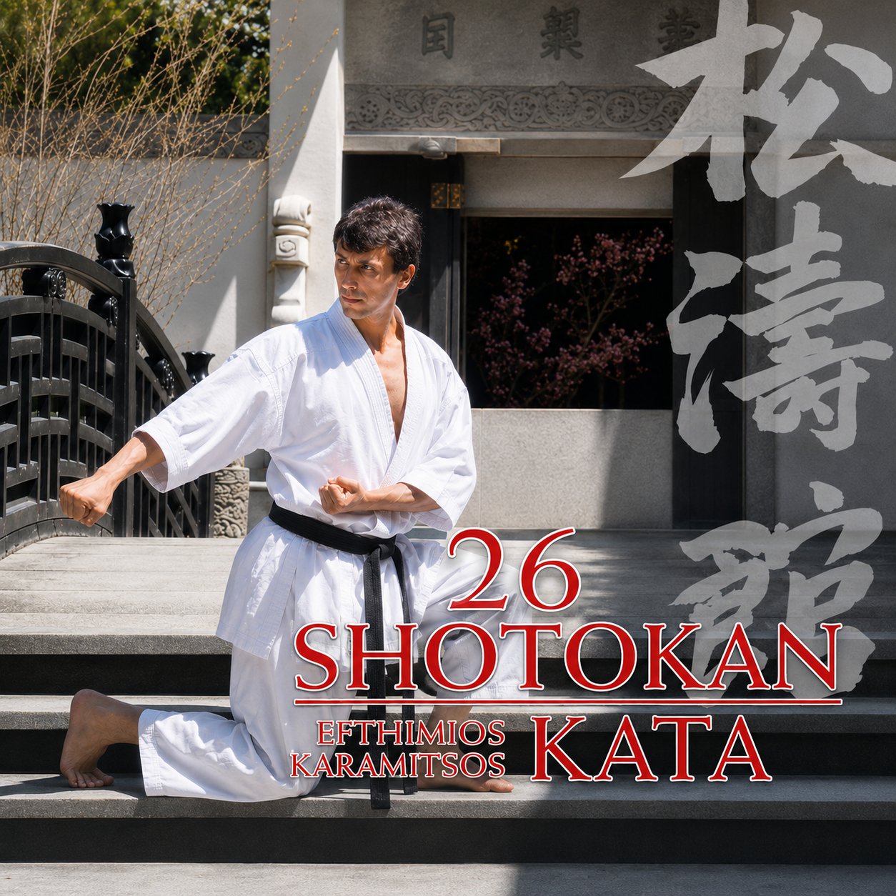 26 Shotokan Karate Katas by Efthimios Karamitsos (On Demand)