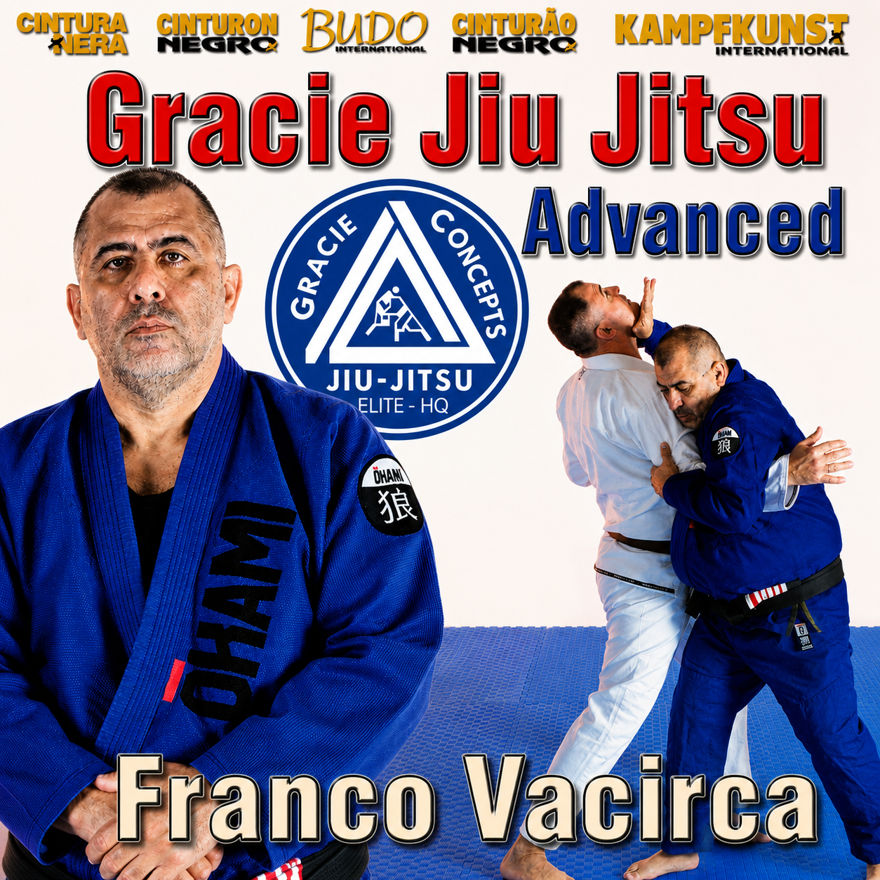 Gracie Jiu-Jitsu Advanced Vol 1 by Vacirca Bros (On Demand)