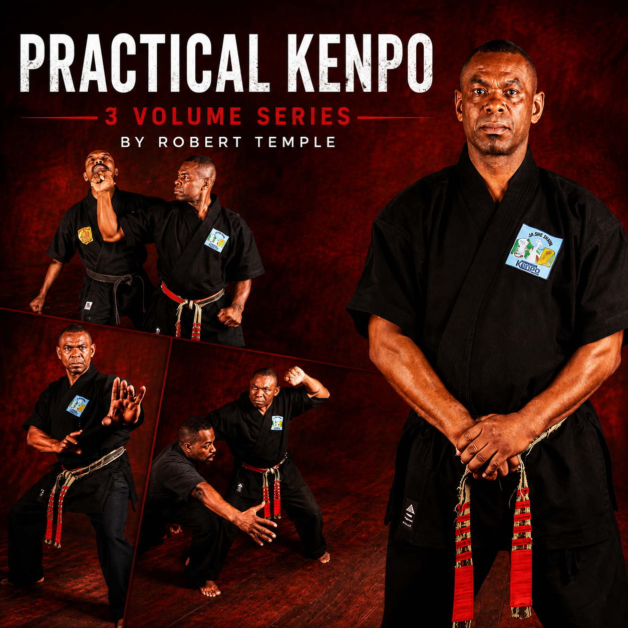 Masterclass Kenpo Volumen 1 Conceptos básicos de Kenpo por Robert Temple (bajo demanda)