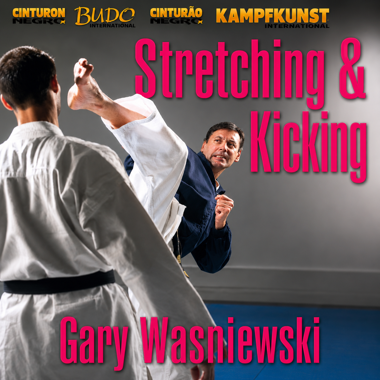 Estiramiento y patadas de karate TY-GA con Gary Wasniewsky (bajo demanda)