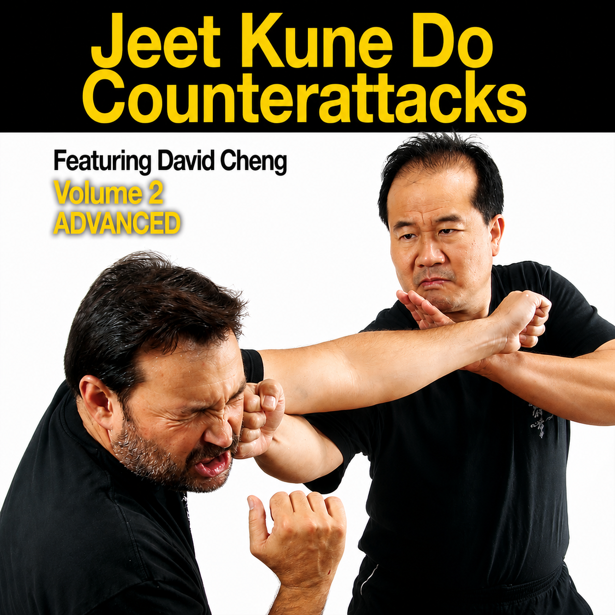 Jeet Kune Do Counterattacks 2 Advanced David Cheng (On Demand)