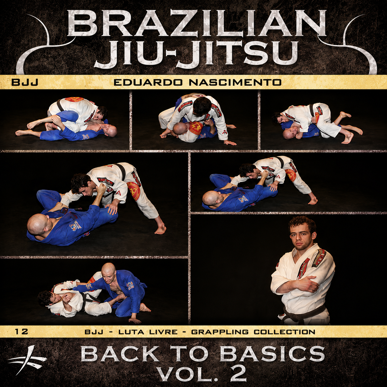 BJJ Back to Basics Vol 2 By Eduardo Nascimento (On Demand)