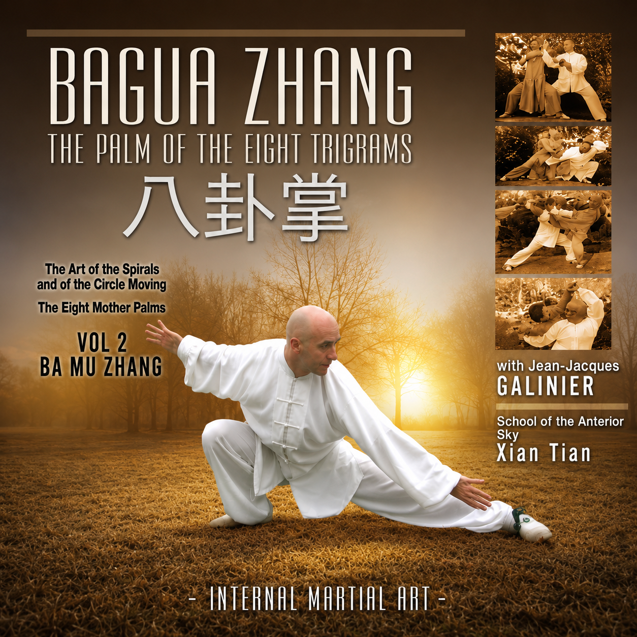 Bagua Zhang San Yuan Zhang Vol 2 (On Demand)