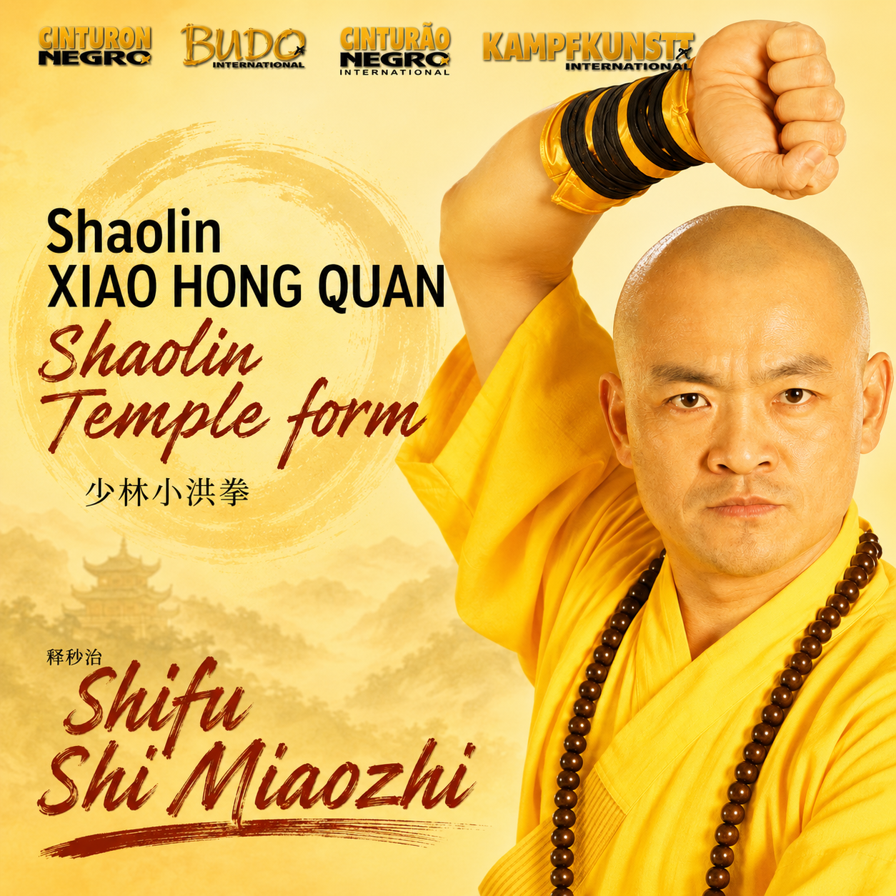 Shaolin Xiao Hong Quan forma Tao Lu por Shi Miaozhi (bajo demanda)