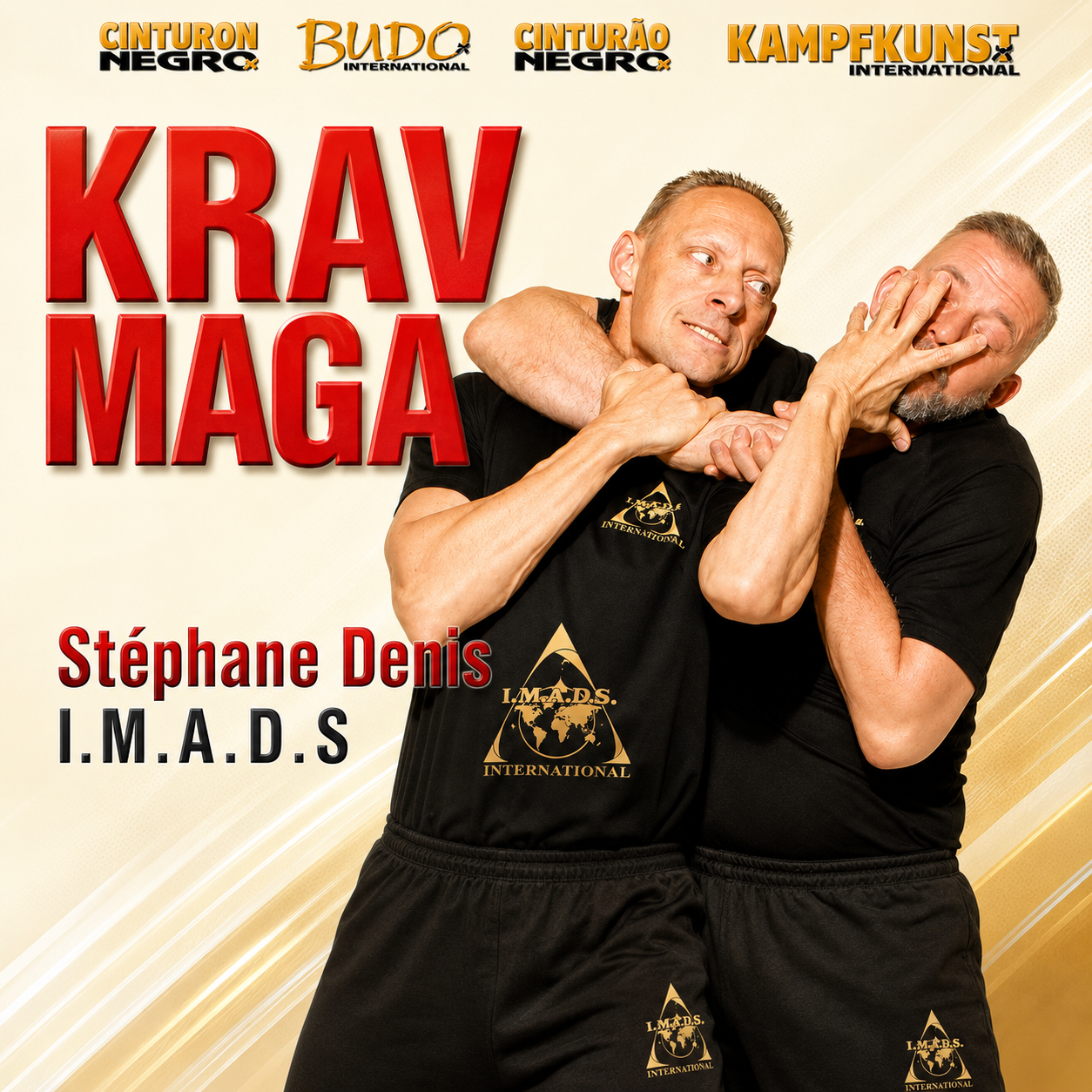 Krav Maga IMADS by Stephane Denis (On Demand)
