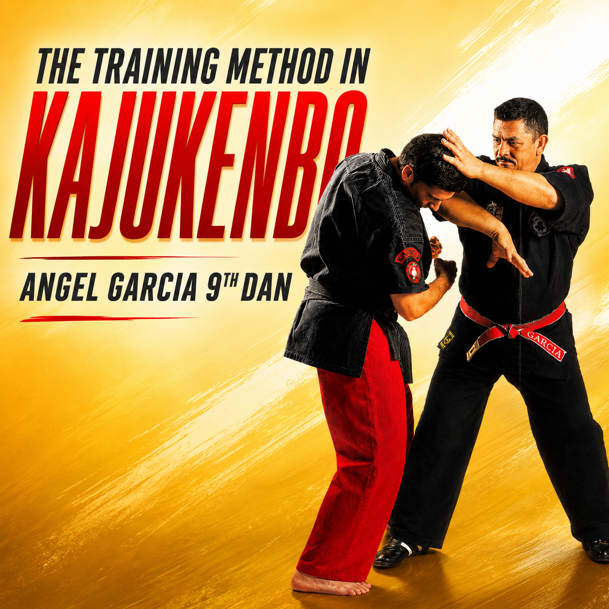 Kajukenbo Vol 2 The Training Method by Angel Garcia (On Demand)