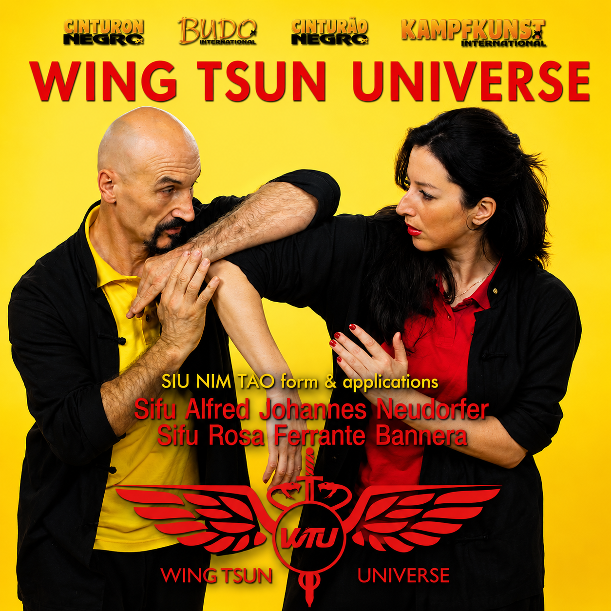 Wing Tsun Universe: A. Neudorfer および R. Ferrante によるシウ ニム タオ フォームとアプリケーション (オンデマンド)