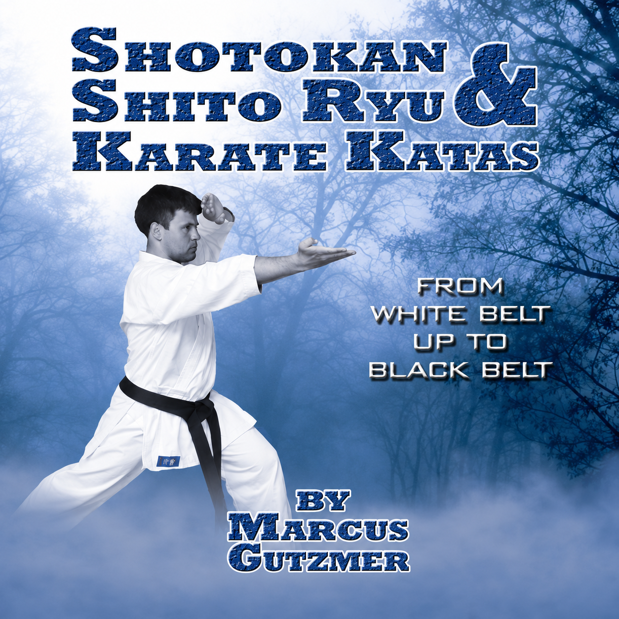 Shotokan & Shito Ryu Karate Katas White to Black (On Demand)