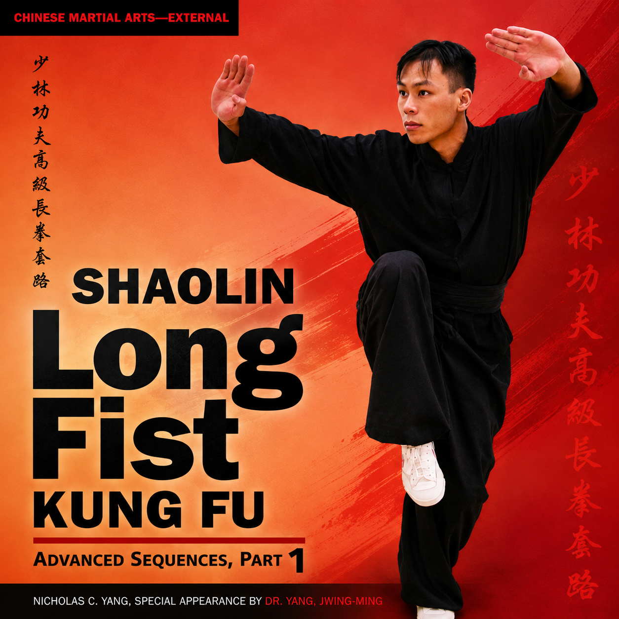 Shaolin Puño Largo Kung Fu Avanzado 1 (Bajo Demanda)