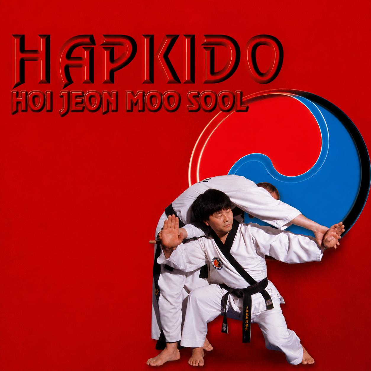 Hapkido Hoi Jeon Moo Sool with Kim Seong Tae (On Demand)